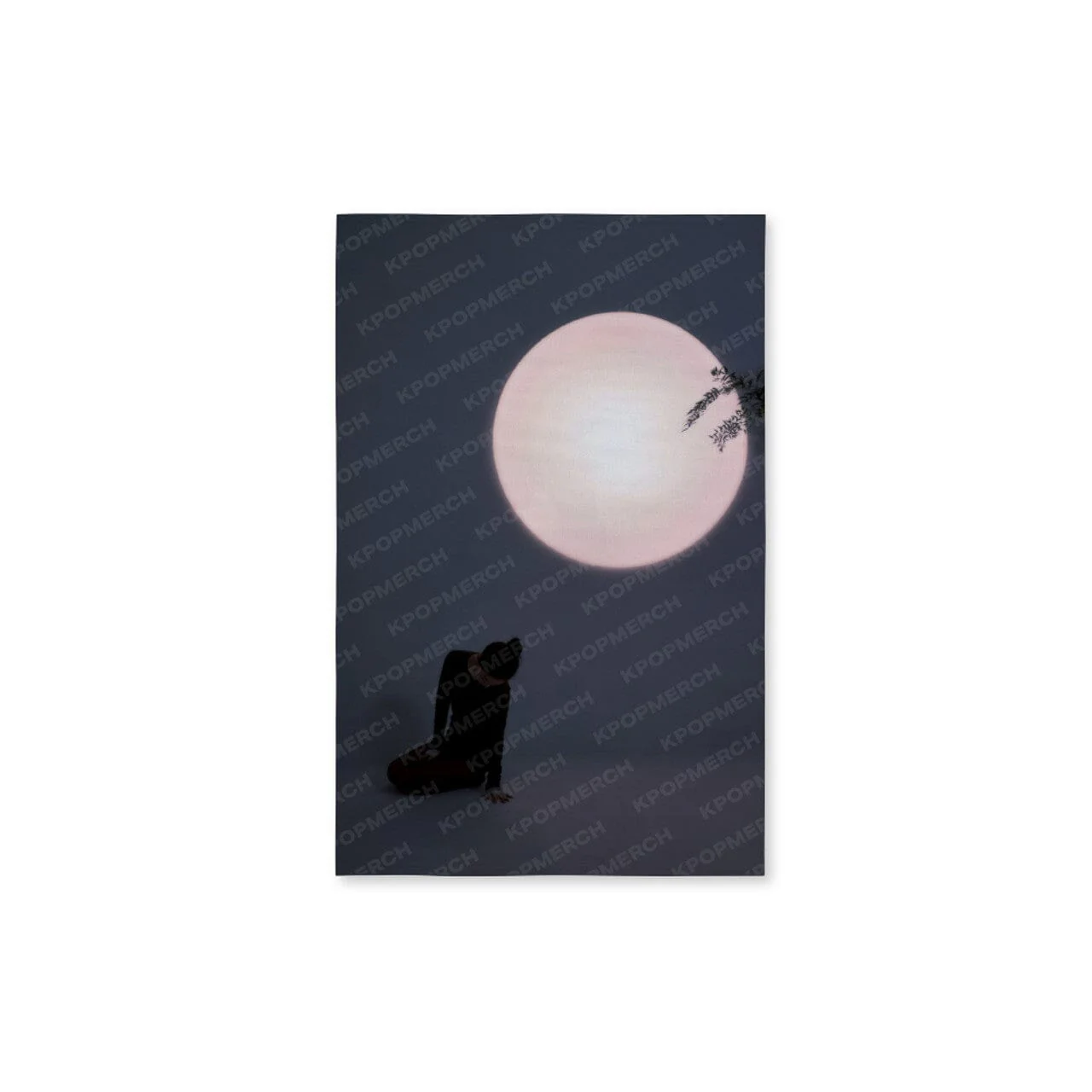 Thumbnail 15